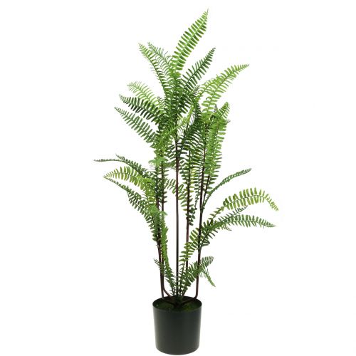 Fern i en kruka grön 80cm