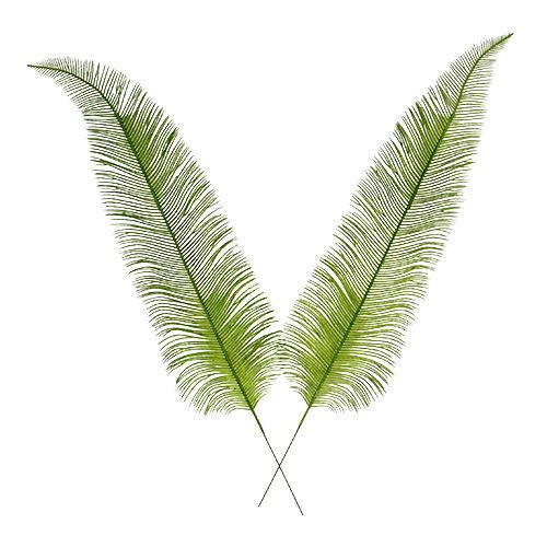 Floristik24 Fern lämnar grön 59 cm 6st
