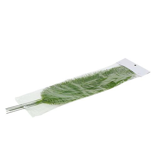 Floristik24 Fern lämnar grön 59 cm 6st
