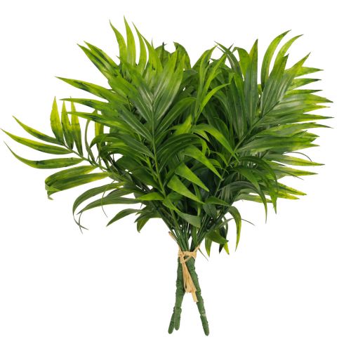 Floristik24 Palmblad palmträd dekoration konstgjorda växter grön 30cm 3st