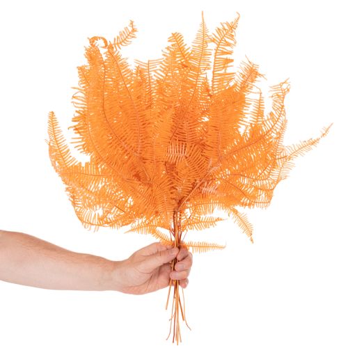 Ormbunkegren, konserverad ormbunke, torkad dekoration för arrangemang, 60 cm, 10 stycken | Floristik24.se