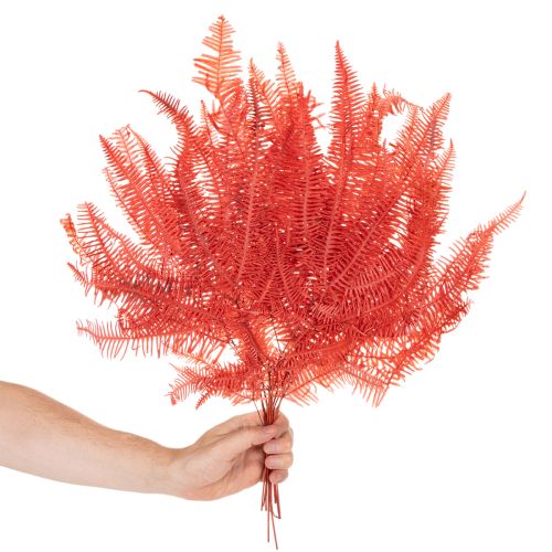 Ormbunkar, konserverade torkade blommor, höstdekoration, 60 cm, 10 stycken | Floristik24.se