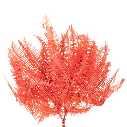 Ormbunkar, konserverade torkade blommor, höstdekoration, 60 cm, 10 stycken | Floristik24.se