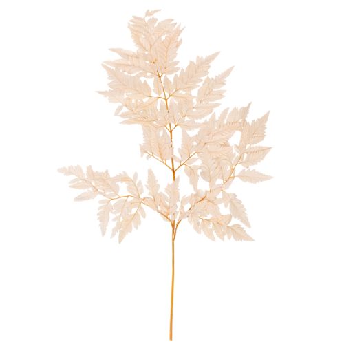 Torkad ormbunkedekoration för vas 42 cm 10 st