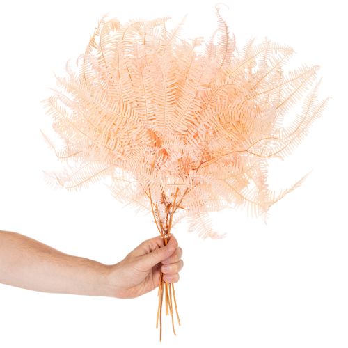 Torkade ormbunksblad, ormbunksdekoration för vaser, 60 cm, 10 stycken | Floristik24.se