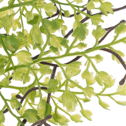 Konstgjord grön Ruscus-gren för blomsterdekoration, 41 cm | Floristik24.se