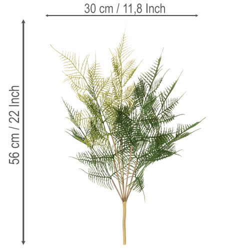 Konstgjord ormbunksdekoration, grön, naturtroget, 56 cm | Floristik24.se