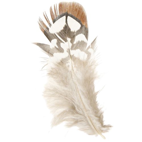 Floristik24 Fasanfjädrar för pyssel, brunfläckiga, 4-9 cm, 60 stycken