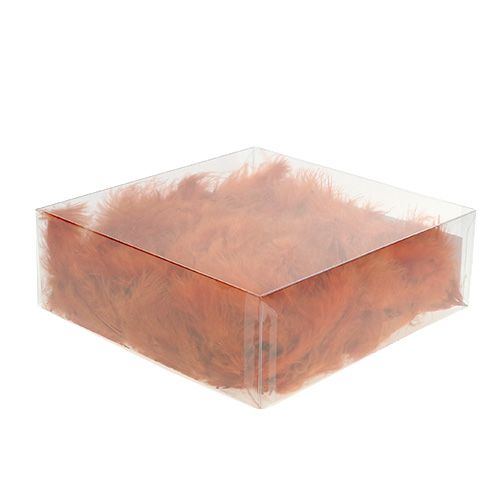 Floristik24 Fjäder kort mörk orange 30g