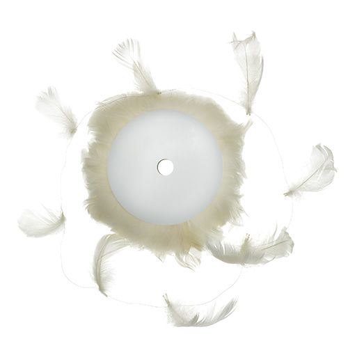 Floristik24 Fjäder på trådkräm 10m