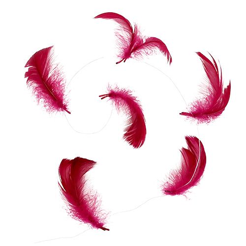 Floristik24 Fjäder på tråd Erika 10m