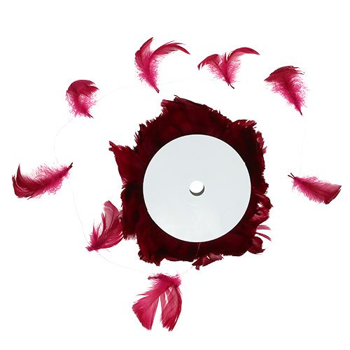 Floristik24 Fjäder på tråd Erika 10m