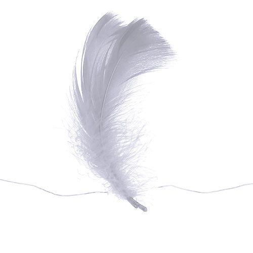Floristik24 Fjäder på vajer Vit 10m
