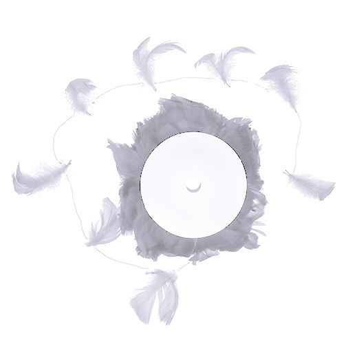 Floristik24 Fjäder på vajer Vit 10m