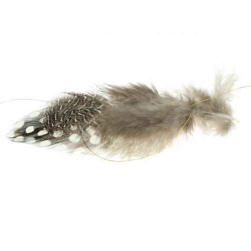 Floristik24 Fjäderkrans brun 5m