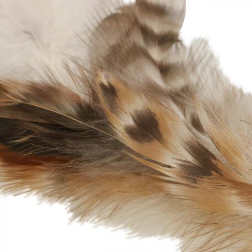 Artikel Fjäderkrans dekorativa fjädrar naturlig påskdekoration Ø15cm 4 st