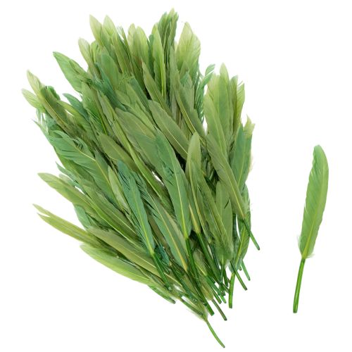 Dekorativa fjädrar för en elegant atmosfär och imponerande dekorationer 10 cm