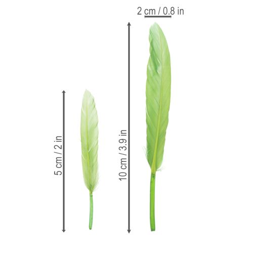 Artikel Dekorativa fjädrar för en elegant atmosfär och imponerande dekorationer 10 cm