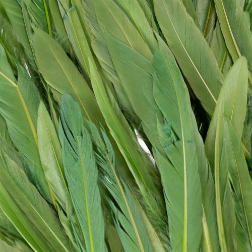 Artikel Dekorativa fjädrar för en elegant atmosfär och imponerande dekorationer 10 cm