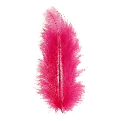 Floristik24 Fjädrar kort 30g fuchsia