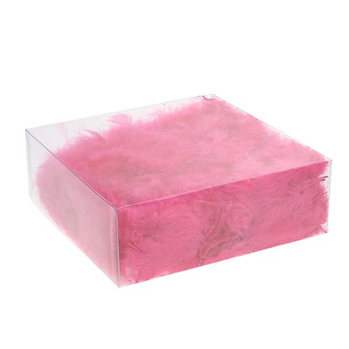 Floristik24 Fjädrar kort 30g fuchsia
