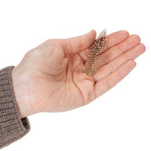 Artikel Fjädrar för mångsidiga hantverksidéer, kreativ design och dekorationsidéer, 5 cm, 3 g