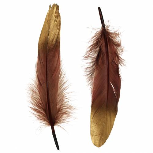 Floristik24 Fjädrar vinröda, guld 18-23cm 24 st