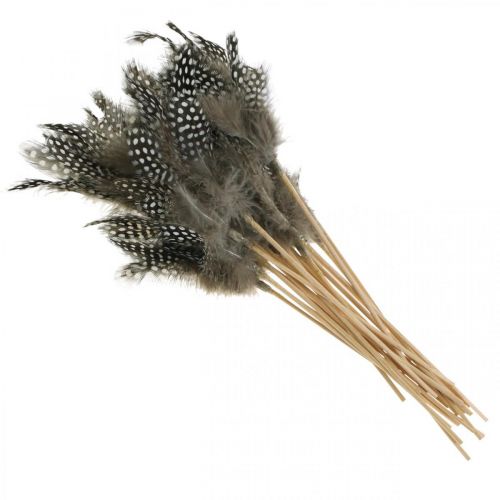 Artikel Dekorativa fjädrar prickade på pinnen Äkta pärlhönsfjädrar 4-8cm 24 st