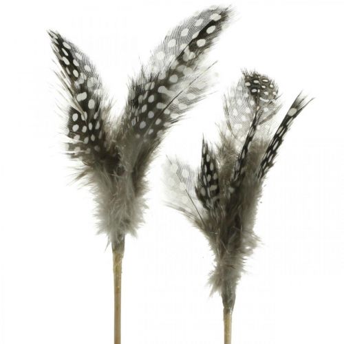 Dekorativa fjädrar prickade på pinnen äkta pärlhönsfjädrar 4-8cm 24st