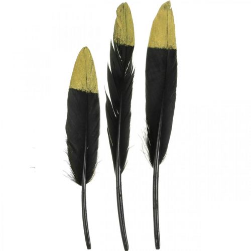 Floristik24 Dekorativa fjädrar svarta, guld äkta fjädrar för pyssel 12-14cm 72st