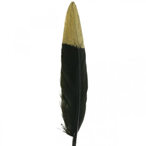 Artikel Dekorativa fjädrar svarta, guld äkta fjädrar för pyssel 12-14cm 72st