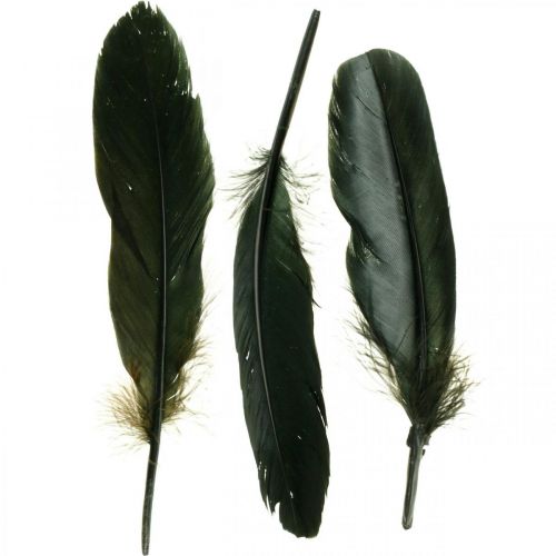 Deco fjädrar svarta fågelfjädrar för pyssel 14-17cm 20g