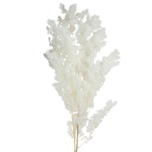 Artikel Vårsparris Sparris konserverad Vit 55-70cm 100g