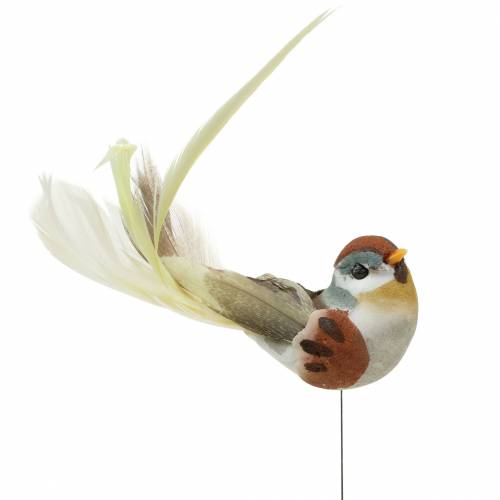 Floristik24 Fågel på tråd 5,5 cm färgad 9st