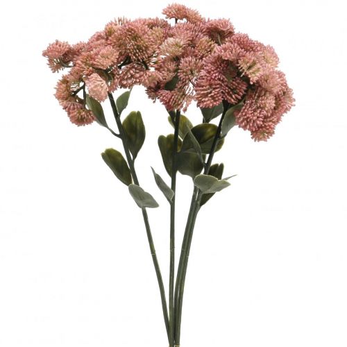 Floristik24 Stengröt rosa sedum stengröt konstgjorda blommor H48cm 4st