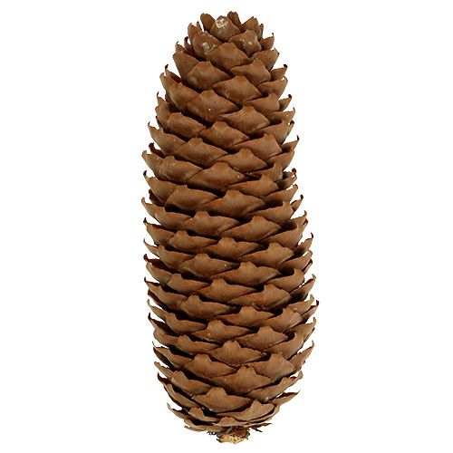 Artikel Grankottar naturliga 5kg kottar