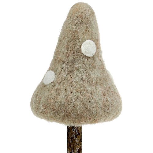 Floristik24 Kände svampar paddor brun rumpa. 30cm 4st