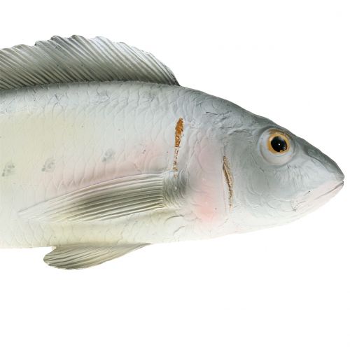 Floristik24 Dekorativ fiskabborre L27,5cm