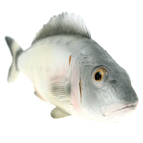 Floristik24 Dekorativ fiskabborre L27,5cm