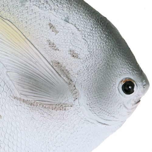Floristik24 Deco fisk L21cm