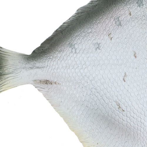 Floristik24 Deco fisk L21cm