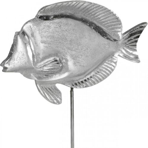 Floristik24 Dekorativ fisk, maritim dekoration, fisk av silvermetall, naturlig färg H28,5cm
