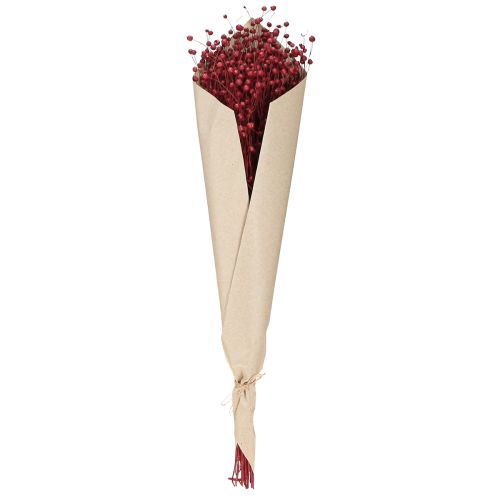 Artikel Lin Bordeauxröd torkad dekoration torkade blommor L55cm 80g