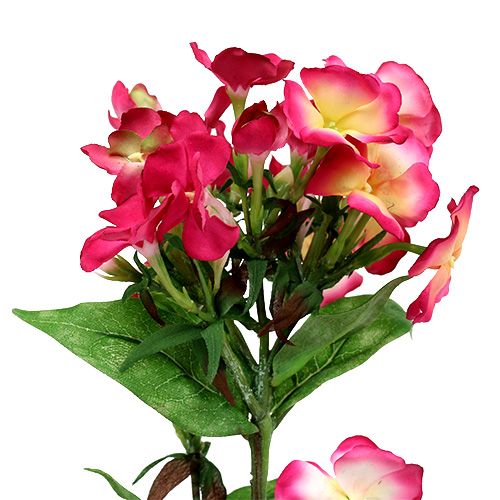 Floristik24 Rosa flammablomma 72cm