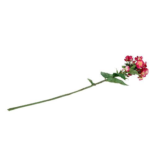 Floristik24 Rosa flammablomma 72cm
