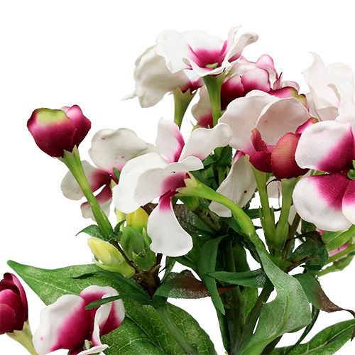 Floristik24 Flamblomma vit 72cm