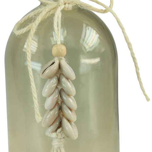 Artikel Flaskor dekorativ glasvas cowrieskal maritima H26cm 2st