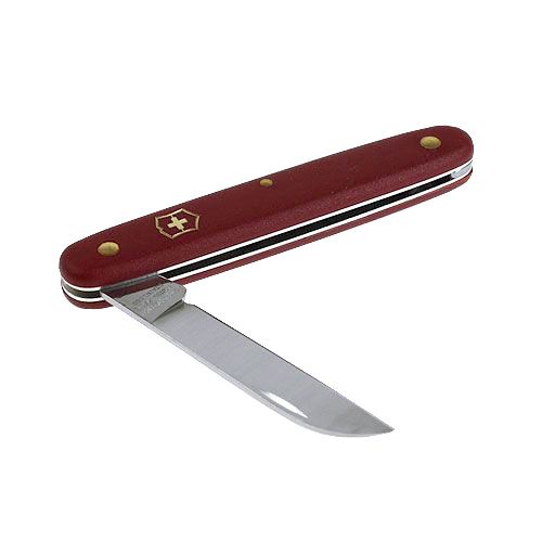 Floristik24 Floristkniv Victorinox