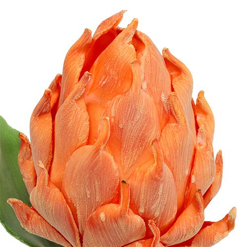 Floristik24 Skumärtskockorange 14cm L28cm 1p