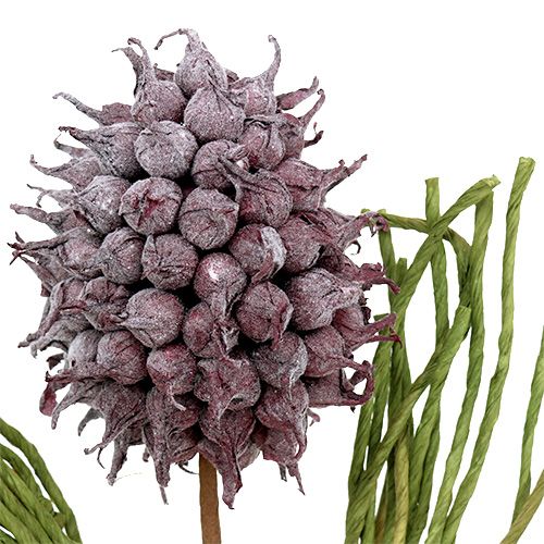 Floristik24 Skumblomning konstgjorda blommor lila L65cm